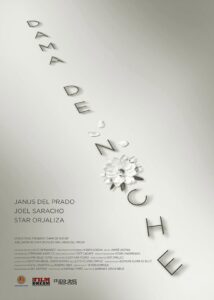 Dama de Noche 2020 on netflix