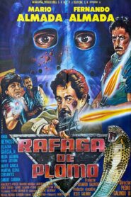 Rafaga De Plomo 1985 on netflix
