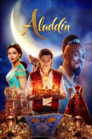 Aladdin 2019 on netflix