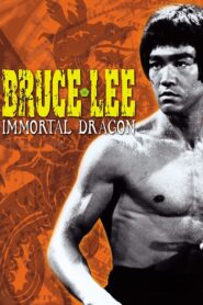 Bruce Lee: The Immortal Dragon 1994 on netflix