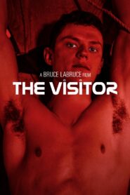 The Visitor 2024 on netflix