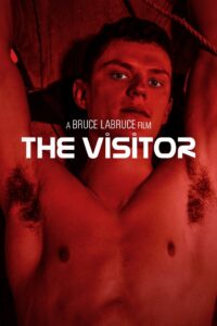 The Visitor 2024 on netflix
