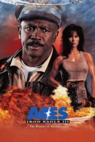 Iron Eagle III 1992 on netflix
