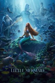 The Little Mermaid 2023 on netflix