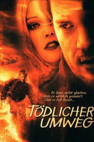 Deadly Diversion 2004 on netflix