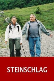 Steinschlag 2005 on netflix