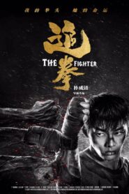 The Fighter 2019 on netflix