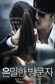 Secret Visitor 2015 on netflix