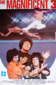 The Magnificent 3 1980 on netflix