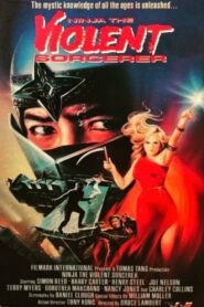 Ninja, the Violent Sorceror 1987 on netflix