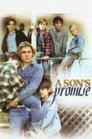 A Son’s Promise 1990 on netflix