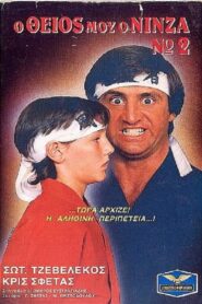 Ο Θείος Μου Ο Νίνζα Νο2 1987 on netflix