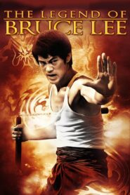 The Legend of Bruce Lee 2009 on netflix