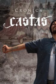 Castle Chronicle 2014 on netflix