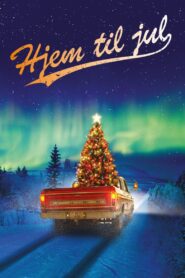 Home for Christmas 2010 on netflix