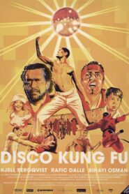 Disco Kung Fu 2002 on netflix