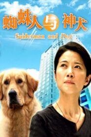 Spiderman and Dog 2006 on netflix