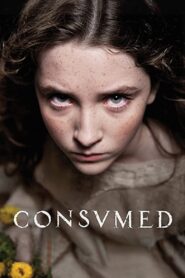 Consumed 2015 on netflix