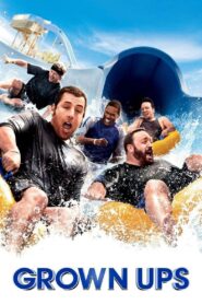 Grown Ups 2010 on netflix