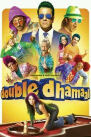 Double Dhamaal 2011 on netflix