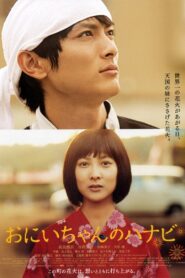 Fireworks from the Heart 2010 on netflix