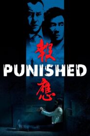 Punished 2011 on netflix