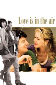 Love Is in the Air 2012 on netflix