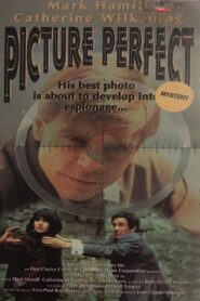 Picture Perfect 1993 on netflix