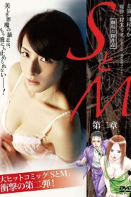 S&M Chapter 2 2010 on netflix