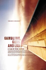 Gambling, Gods and LSD 2002 on netflix