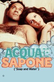 Soap and Water 1983 on netflix