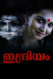 Indriyam 2000 on netflix