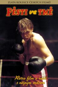 Pěsti ve tmě 1987 on netflix