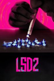 LSD 2: Love, Sex aur Dhokha 2 2024 on netflix