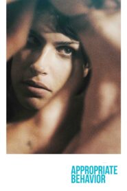 Appropriate Behavior 2015 on netflix