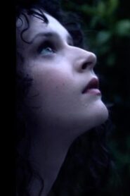 The Orchard 2014 on netflix