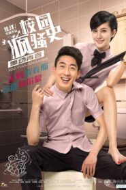 The Crazy School 2015 on netflix