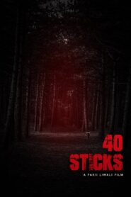 40 Sticks 2020 on netflix