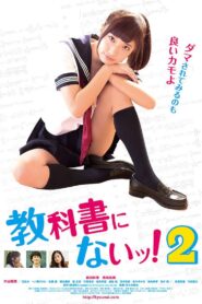 Not in Textbooks 2 2016 on netflix