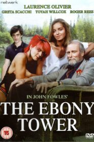 The Ebony Tower 1984 on netflix