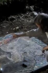 Legend of the White Boar 2004 on netflix