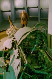 Love Demands a Sacrifice 1991 on netflix