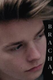Brother 2015 on netflix