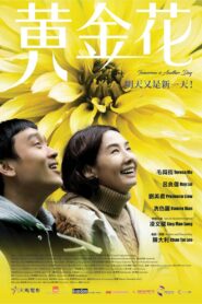 Tomorrow is Another Day 2017 on netflix