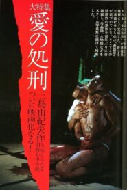 The Execution of Love 1983 on netflix