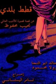 Stray Cats 2005 on netflix