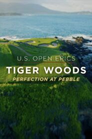 U.S. Open Epics: Tiger Woods: Perfection at Pebble Beach 2019 on netflix
