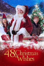 48 Christmas Wishes 2017 on netflix