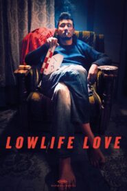 Lowlife Love 2016 on netflix
