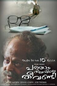 Patham Nilayile Theevandi 2009 on netflix